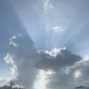 리버벨리 이미지