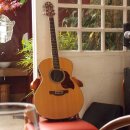 뉴욕실용음악학원 이미지