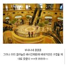 플랜비스튜디오부천 | 25년 마카오 (3) 북방관 찾아가기, 나이트 투어 버스