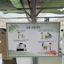 부산 기장 미래화훼단지 식물 종류 많고 저렴한 곳