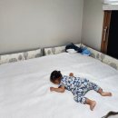 사계절환경 | 여름쿨매트 숙면템 나비엔 숙면매트 사계절 한 달 사용후기