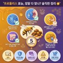 꿀벌약국 | 프로폴리스 효능 보기