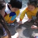 꼬마동네 어린이집 이미지