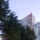 부송공원 화장실 이미지