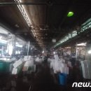 노량진수산시장 이미지