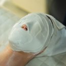 피부관리·경락(수) 이미지