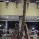 칠원고등학교 이미지