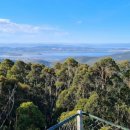 나무부동산중개 이미지