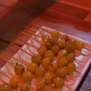 두리꼬치