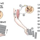 피트니스고유 이미지