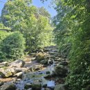 복호식당 | [중국 무비자 여행-러산(Leshan-乐山)] 어메이산(峨眉山)-복호사(伏虎寺-Fuhusi)