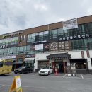 맑은 동물의료센터 이미지