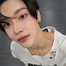 내세상 이미지