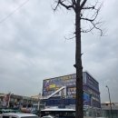 바른정형외과의원 | 부천 정형외과 추천 ‘부천바른정형외과’ 솔직후기 (주차 팁 &amp; 물리치료)
