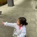 제주SKY 골드클래스 | 아이랑 제주여행 제주신화월드 골드패키지 스카이풀 후기