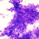 더힐동물의료센터 이미지