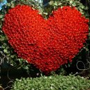 호법초교 이미지