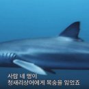 바다기술 이미지