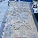 [울릉도 4박 5일 자유여행 ] 뚜벅이 여행준비 / 배편,숙소예약/버스노선표/상세일정/필수관광지/ 여행총...