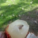 산업용재관 이미지