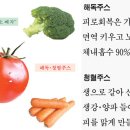 해독 티스토리