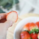 단북애청년 이미지