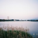 경포의하루 이미지