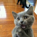 현자네 맛집 이미지