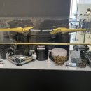 (주)어메이징라이프 이미지