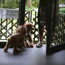 (주)스토리미르 이미지