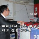임실앤치즈피자 이미지