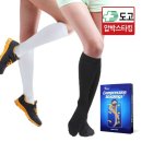 렉스타 이미지
