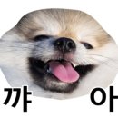 요한자동차 이미지