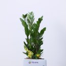 한결가정의학과의원 이미지