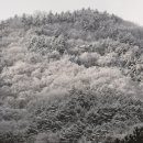 M.S.모산 이미지