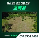 횡성 수농장 | 강원 횡성 예초작업, 소나무 반송 농장 2000평 대규모 시공 후기