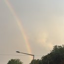 코스모빌딩 | 포카라다이아몬드 코스모웨딩밴드 수령 후 후기! 진주귀걸이