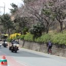 수치 선착장 이미지