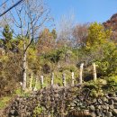 마비정 누리길 | 걷기만 하면 5천원 주는 <다시 걷는 대한민국> 캠페인 소개 및 마비정 누리길 1코스 참여후기