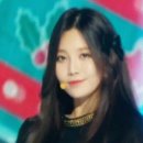 오늘짱 Daum카페