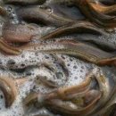 (유)우렁각시 이미지