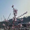 광영농장 이미지