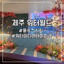 월드미디어 | [📍요기요기] [제주 비 오는 날 추천] 아이와 함게 걷는 물속 미디어파크 &#39;워터월드 제주&#39; 후기🌊