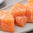 반려동물 간식 이미지