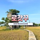 고요한아침 강가 | 호이안 가볼만한 곳 로갓꾸, 아침에 가면 더 좋은 논밭 뷰 지브리 감성 호이안 카페