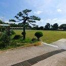 표선초등학교 운동장 이미지