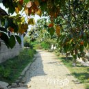 민속여관 이미지