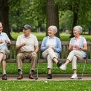 파크골프 입문 이미지