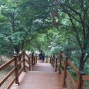 서농동게이트볼장 이미지