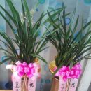 송우당구장 이미지